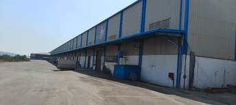 Commercial Warehouse 150000 Sq.Ft. For Rent In Jawaharlal Nehru Port Trust Navi Mumbai 6767757