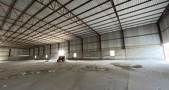 Commercial Warehouse 8100 Sq.Ft. For Rent In Ballabhgarh Sector 64 Faridabad 6767785