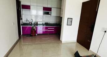 3 BHK Apartment For Rent in Sector 125 Mohali 6768237