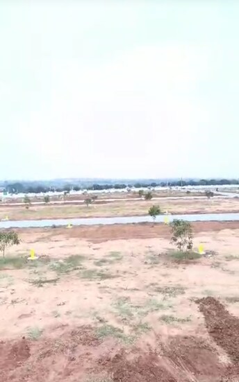 Plot For Resale in Shadnagar Hyderabad  6768233