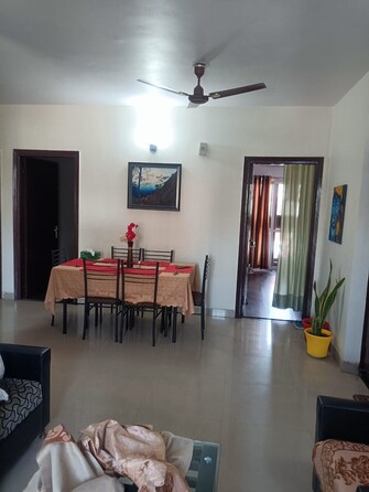 4 BHK Independent House For Resale in Sector 65 Faridabad  6768267