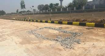  Plot For Resale in Sangareddy Hyderabad 6768471