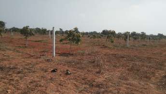  Plot For Resale in Sangareddy Hyderabad 6768468