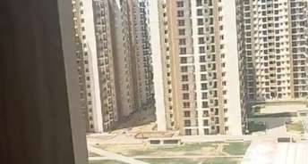 3 BHK Apartment For Rent in Amrapali Golf Homes Sector 4, Greater Noida Greater Noida 6768602