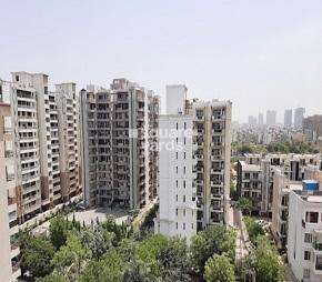 4 BHK Apartment For Rent in Abhinandan CGHS Sector 51 Gurgaon 6768600