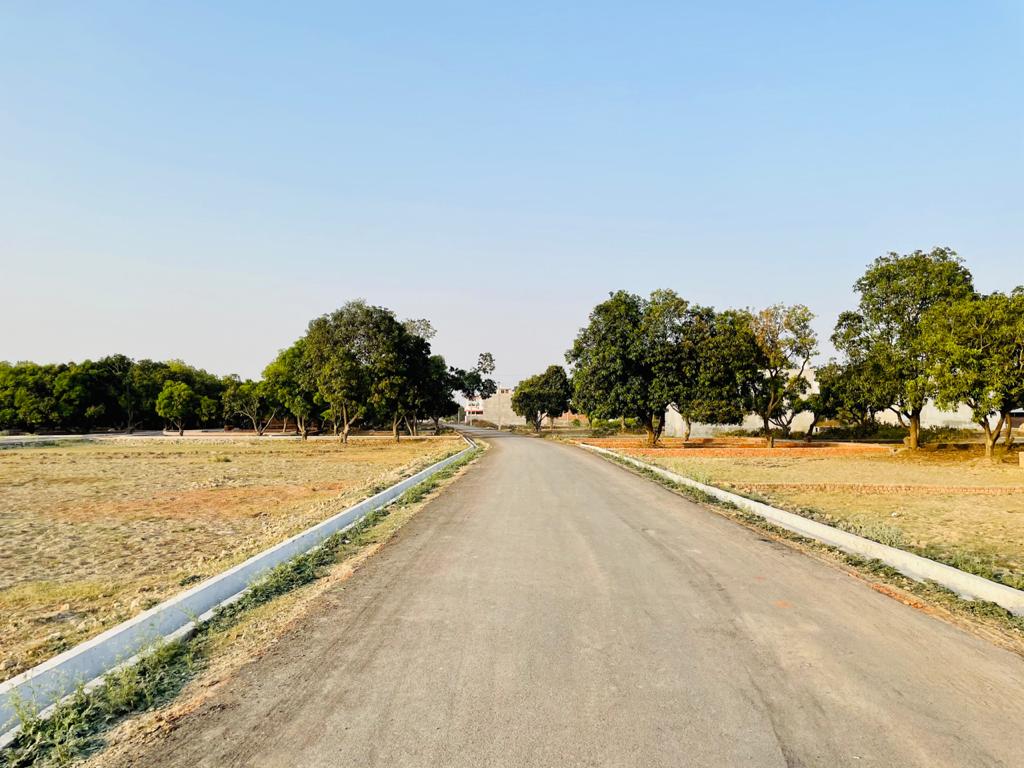 Plot For Resale in Alambagh Lucknow  6768659