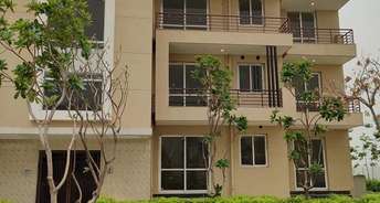 3 BHK Builder Floor For Rent in BPTP Parkland Pride Sector 77 Faridabad 6768692