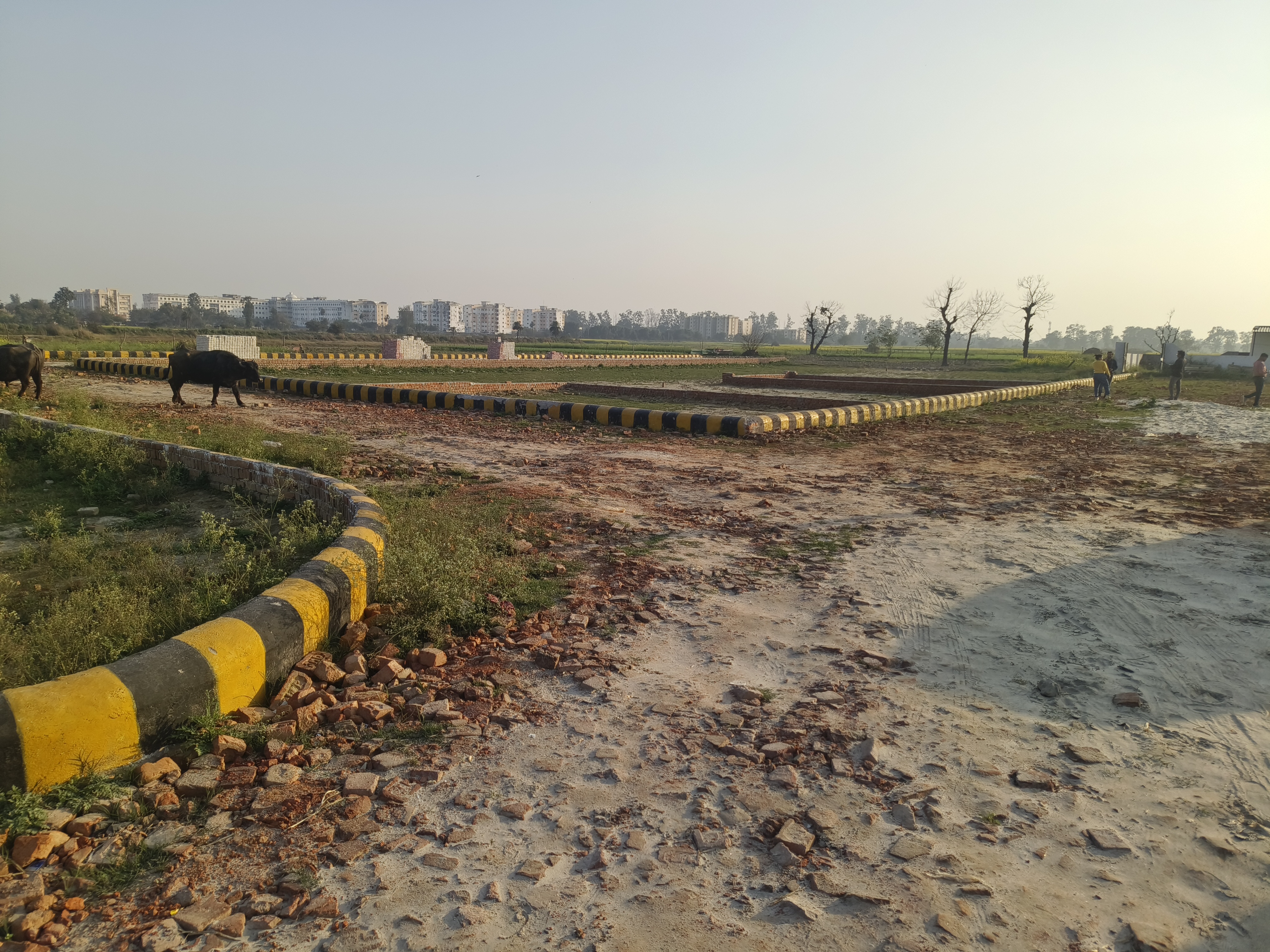 Plot For Resale in Faizabad Road Lucknow  6768736