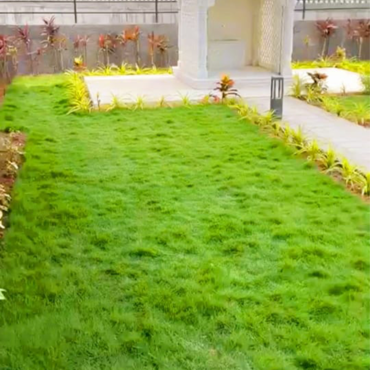 Garden, kt-sai-view 1 Bedroom 429 Sq.Ft. Apartment In New Panvel West Navi Mumbai 6769183