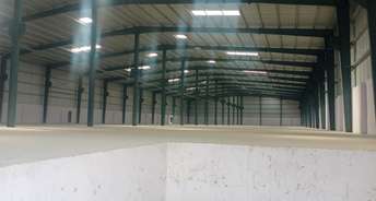 Commercial Warehouse 21500 Sq.Ft. For Rent In Malur Bangalore 6769237