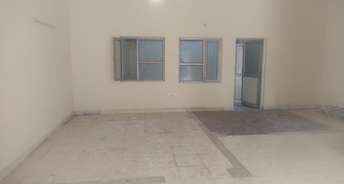 Commercial Warehouse 1100 Sq.Yd. For Rent In Sector 64 Noida 6769346