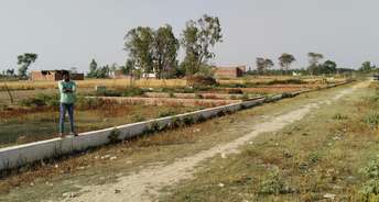  Plot For Resale in Global City Faizabad Road Faizabad Road Lucknow 6769393