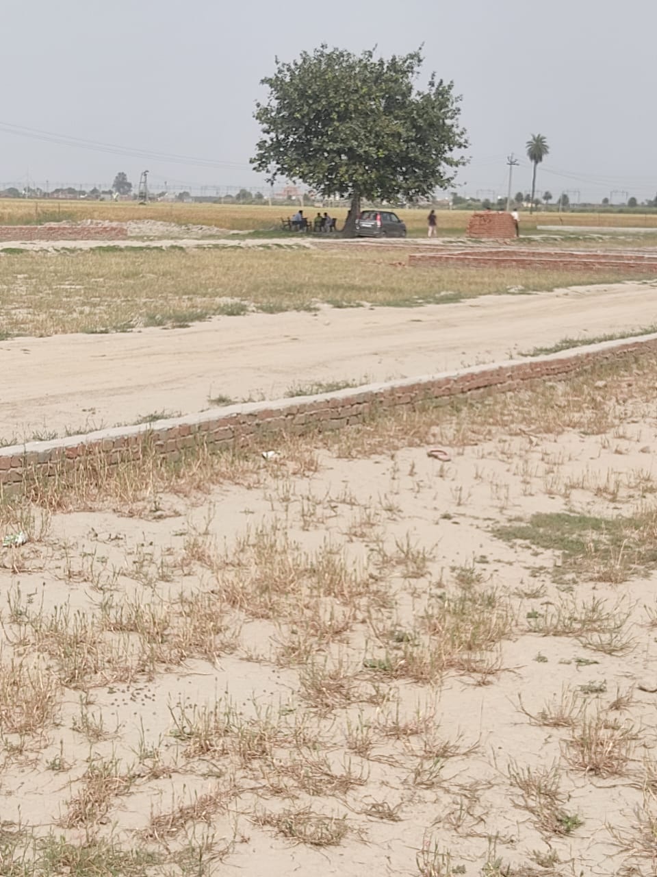 Plot For Resale in Bhopani Village Faridabad  6769642