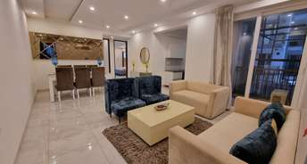 3 BHK Apartment For Resale in Fortune Victoria Heights Dhakoli Village Zirakpur 6769718