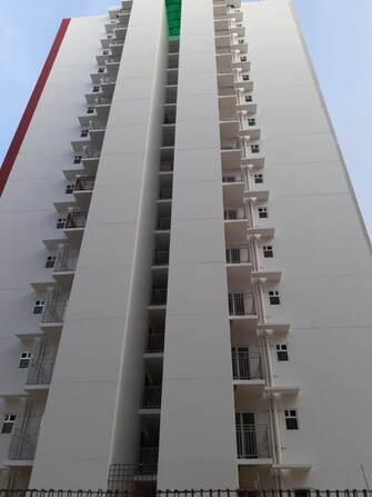 3 BHK Apartment For Resale in BCC Bharat City Phase II Indraprastha Yojna Ghaziabad  6770686