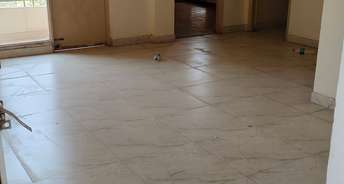 2 BHK Apartment For Rent in Zion Stonecrop And Celeste Garden Sector 78 Faridabad 6770791