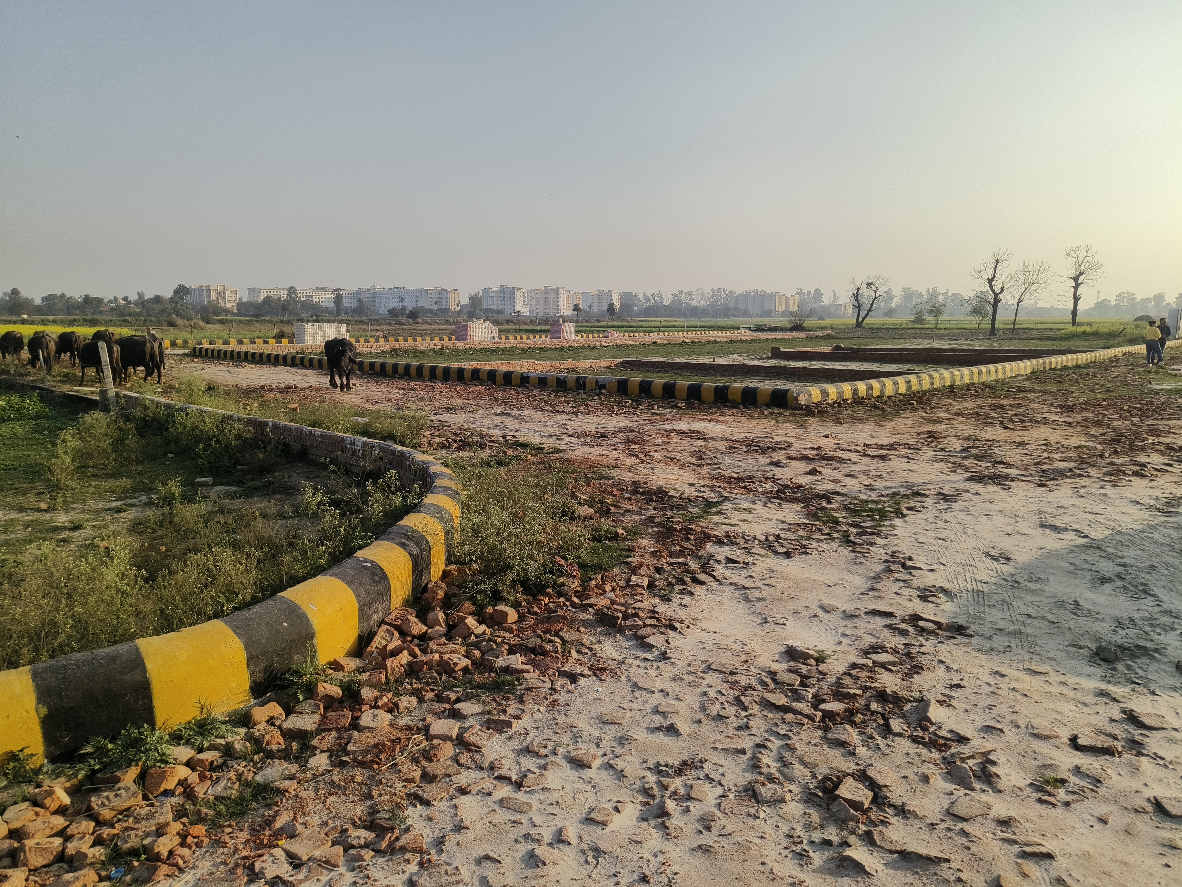 Plot For Resale in Baraulikhalilabad Lucknow  6770919