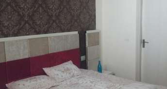3 BHK Apartment For Rent in Malwa Escon Primera International Airport Road Zirakpur 6771063