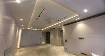 4 BHK Apartment For Resale in RWA Greater Kailash 2 Greater Kailash ii Delhi 6771085
