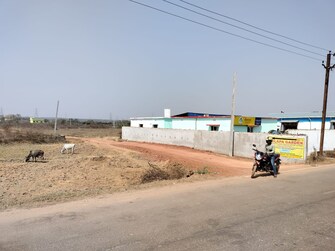 Plot For Resale in Damana Bhubaneswar  6771123