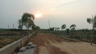 Plot For Resale in Damana Bhubaneswar  6771123