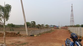 Plot For Resale in Damana Bhubaneswar  6771123