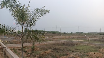 Plot For Resale in Damana Bhubaneswar  6771123