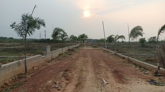 Plot For Resale in Damana Bhubaneswar  6771123