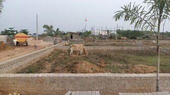 Plot For Resale in Damana Bhubaneswar  6771123