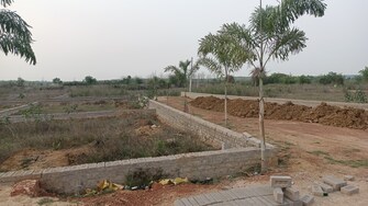 Plot For Resale in Damana Bhubaneswar  6771123