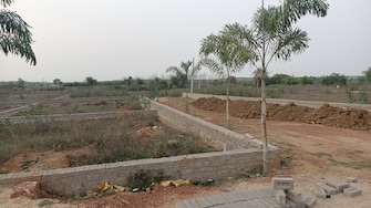 Plot For Resale in Damana Bhubaneswar  6771123