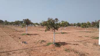 Plot For Resale in Kandukur Hyderabad  6771175