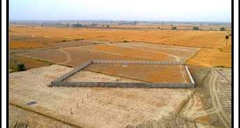  Plot For Resale in Yex Sector 22d Greater Noida 6771235