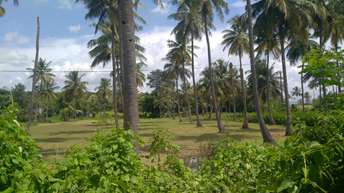 Commercial Land 2 Acre For Resale In Kanakapura Bangalore 6771388