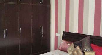 3 BHK Apartment For Rent in Aditya Palm Court Vip Road Zirakpur 6771463