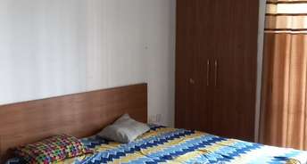2 BHK Apartment For Rent in Ace City Noida Ext Sector 1 Greater Noida 6771893
