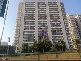 2 BHK Apartment For Resale in BPTP Terra Sector 37d Gurgaon  6772038