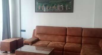 4 BHK Apartment For Rent in Sindhubhavan Ahmedabad 6772048