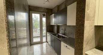 2 BHK Apartment For Rent in Ansal Celebrity Homes Sector 2 Gurgaon 6772111