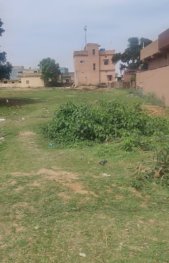 Plot For Resale in Kanke Ranchi  6772370