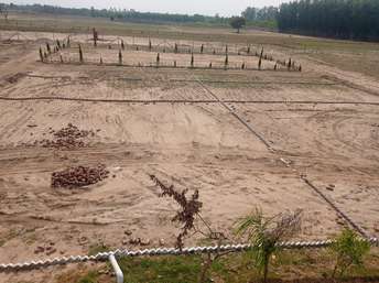  Plot For Resale in Gill Colony Saharanpur 6772590