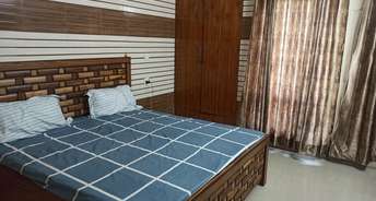 3 BHK Independent House For Rent in Sector 115 Mohali 6772529