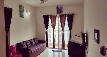2 BHK Apartment For Rent in Amanora Trendy Homes Hadapsar Pune 6772881
