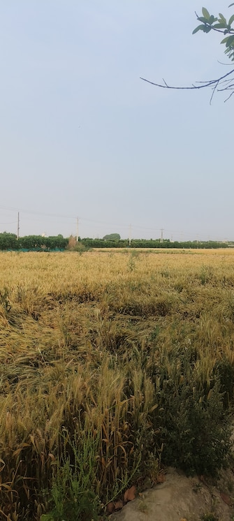 Commercial Land 1370 Sq.Yd. For Resale in North Delhi Delhi  6773022