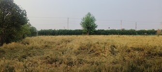 Commercial Land 1370 Sq.Yd. For Resale in North Delhi Delhi  6773022