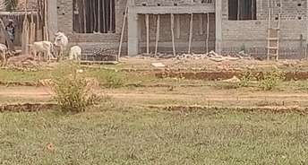 3 BHK Villa For Resale in Phulanakhara Bhubaneswar 6773294
