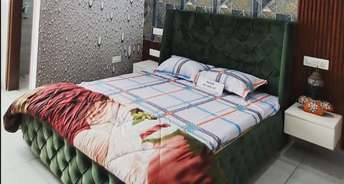 2 BHK Apartment For Rent in NK Sharma Savitry Greens Lohgarh Zirakpur 6773509
