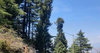  Plot For Resale in Kufri Shimla 6773566