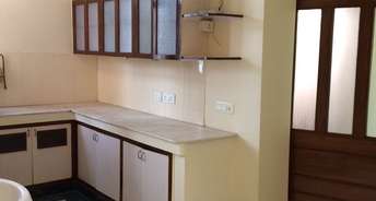 2 BHK Builder Floor For Rent in Sarva Priya Apartments Hauz Khas Delhi 6774358