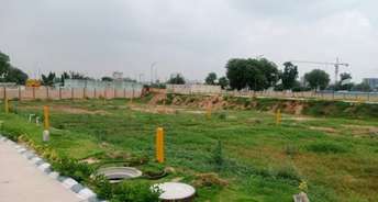  Plot For Resale in Sector 93 Gurgaon 6774403